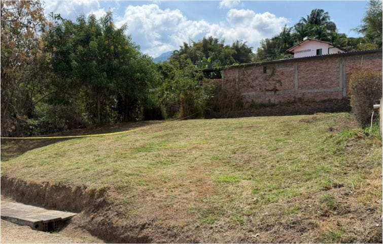 Lote 1