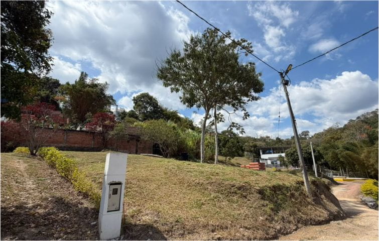 Lote 2