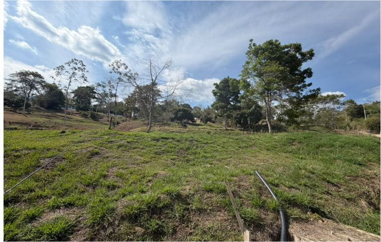 Lote 3